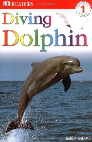 Diving Dolphin by Karen Wallace - USED
