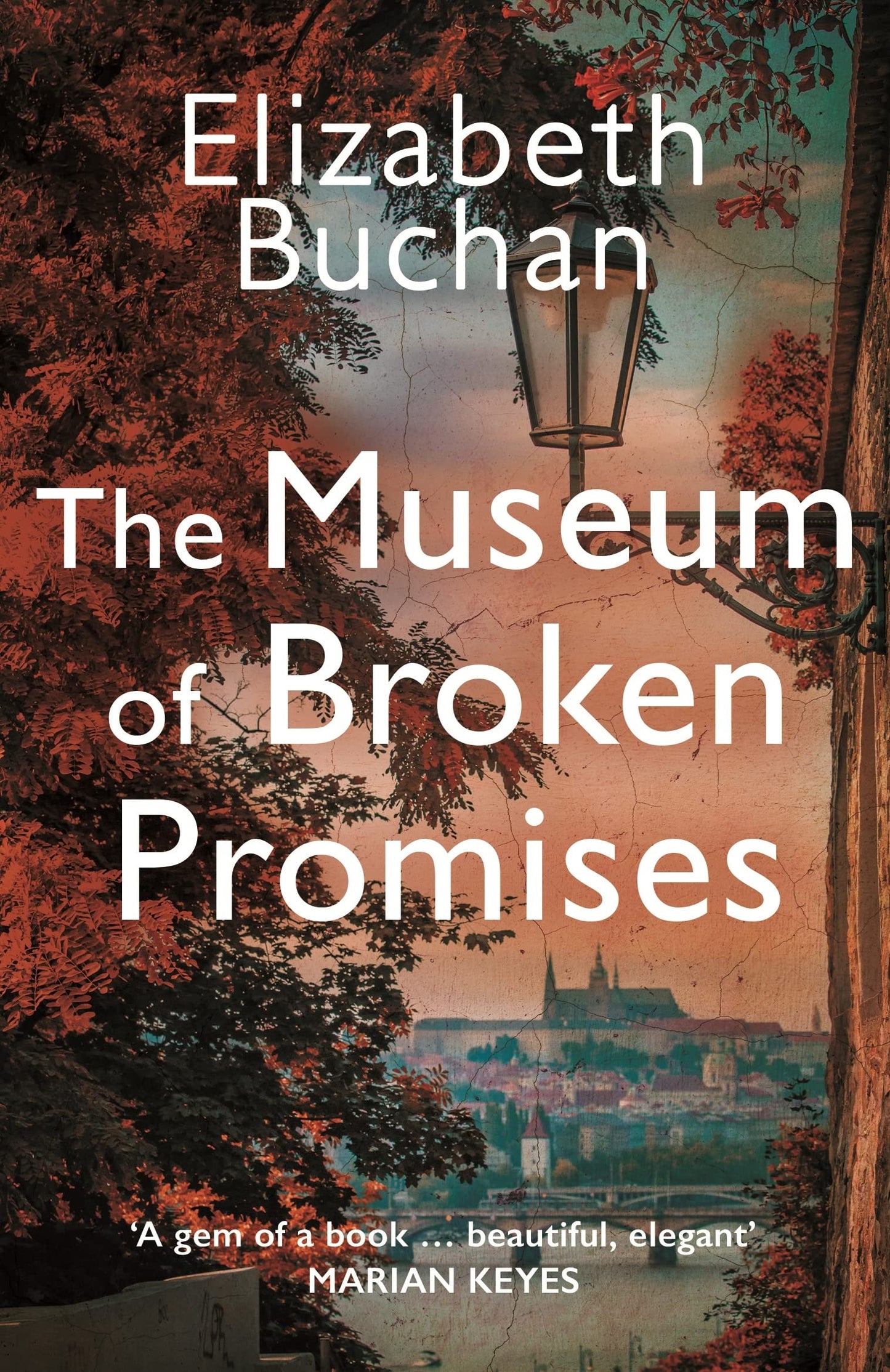 The Museum of Broken Promises by Elizabeth Buchan - USED