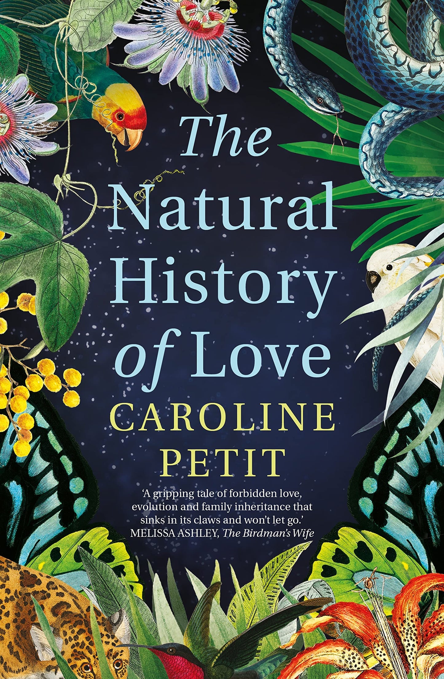 Natural History of Love by Caroline Petit - USED