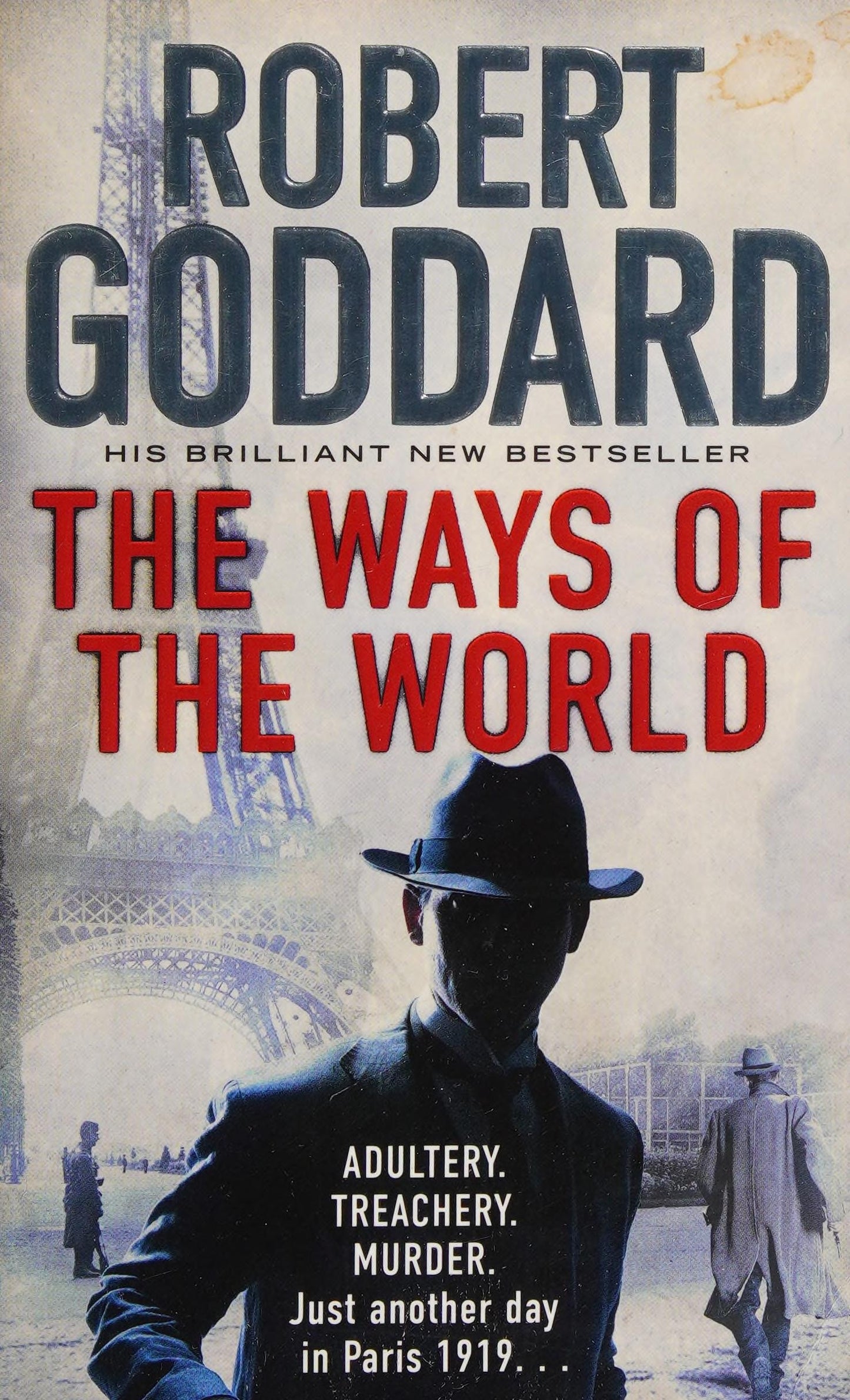 The Ways of the World by Robert Goddard - USED