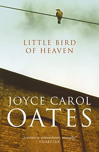 Little Bird of Heaven by Joyce Carol Oates - USED