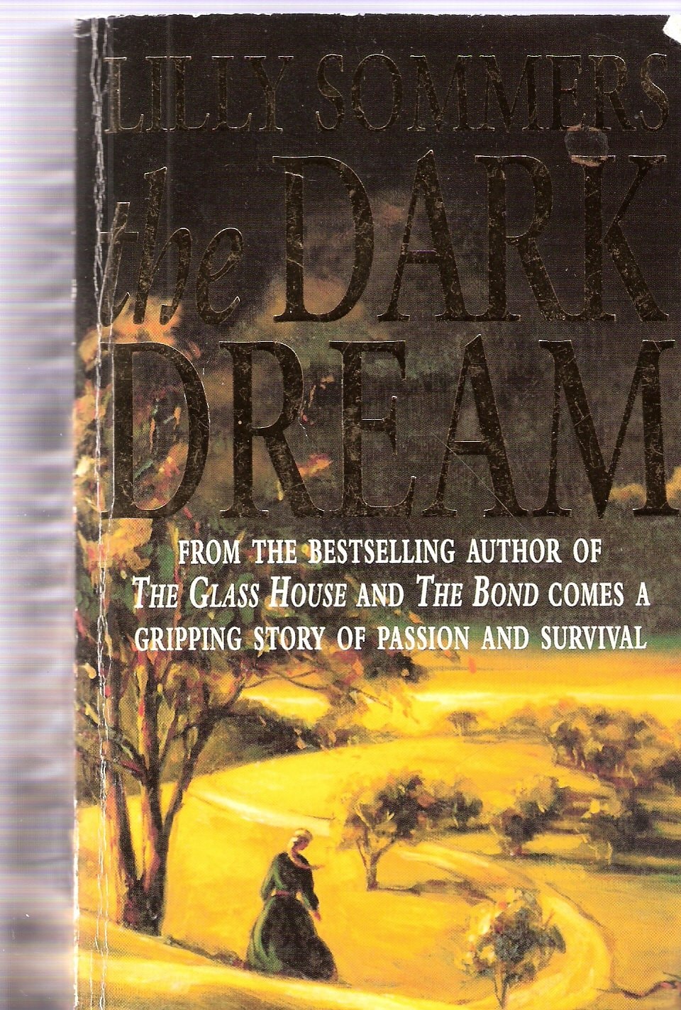 The Dark Dream by Lilly Sommers Arrow Books
