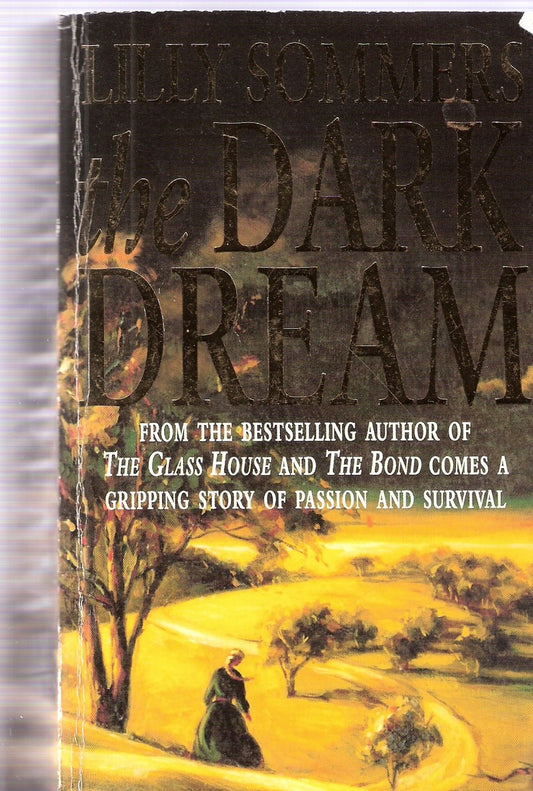 The Dark Dream by Lilly Sommers Arrow Books