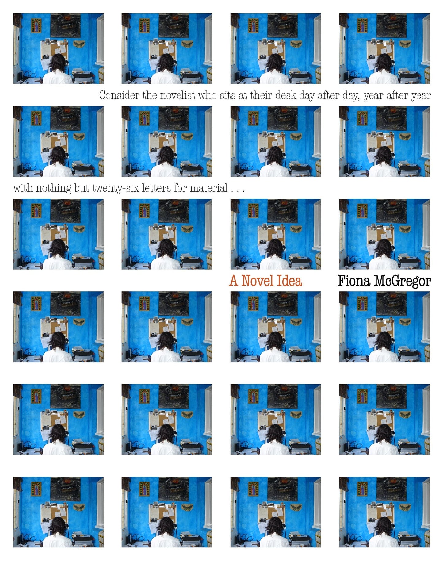 A Novel Idea by Fiona McGregor