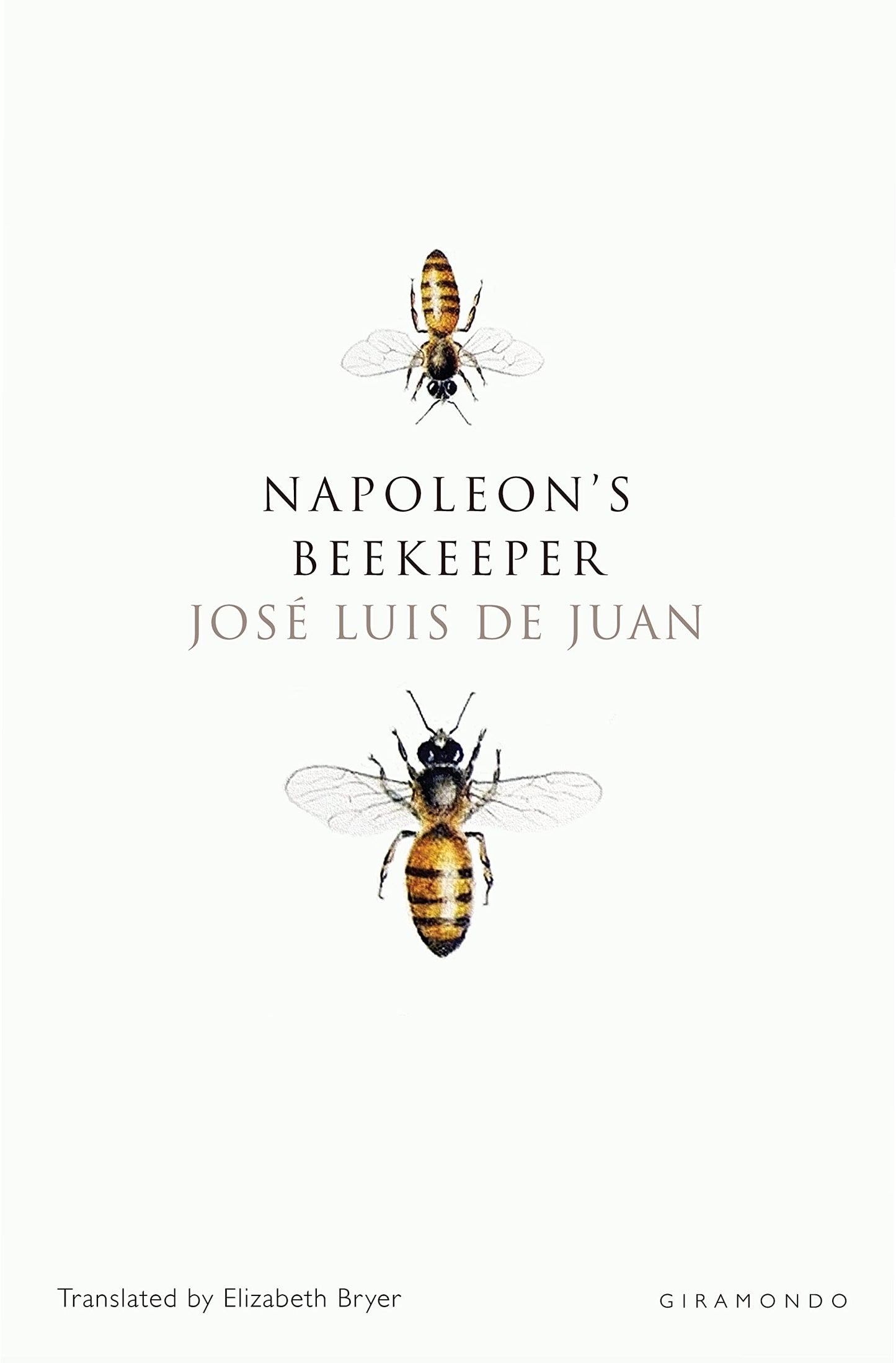 Napoleon's Beekeeper by José Luis de Juan - USED