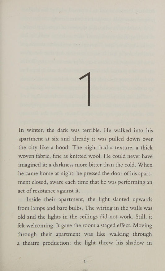 Where the Light Falls by Gretchen Shirm