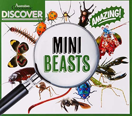 Australian Geographic Discover: Mini Beasts by Australian Geographic,Australian Geographic Staff,Natsumi Penberthy
