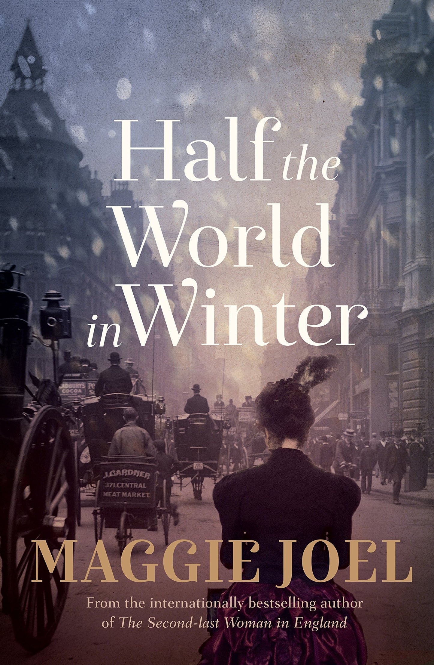 Half the World in Winter by Maggie Joel - USED