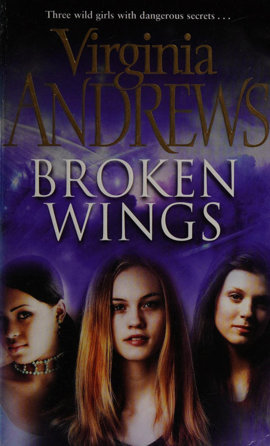 Broken Wings by Virginia C. Andrews Pocket