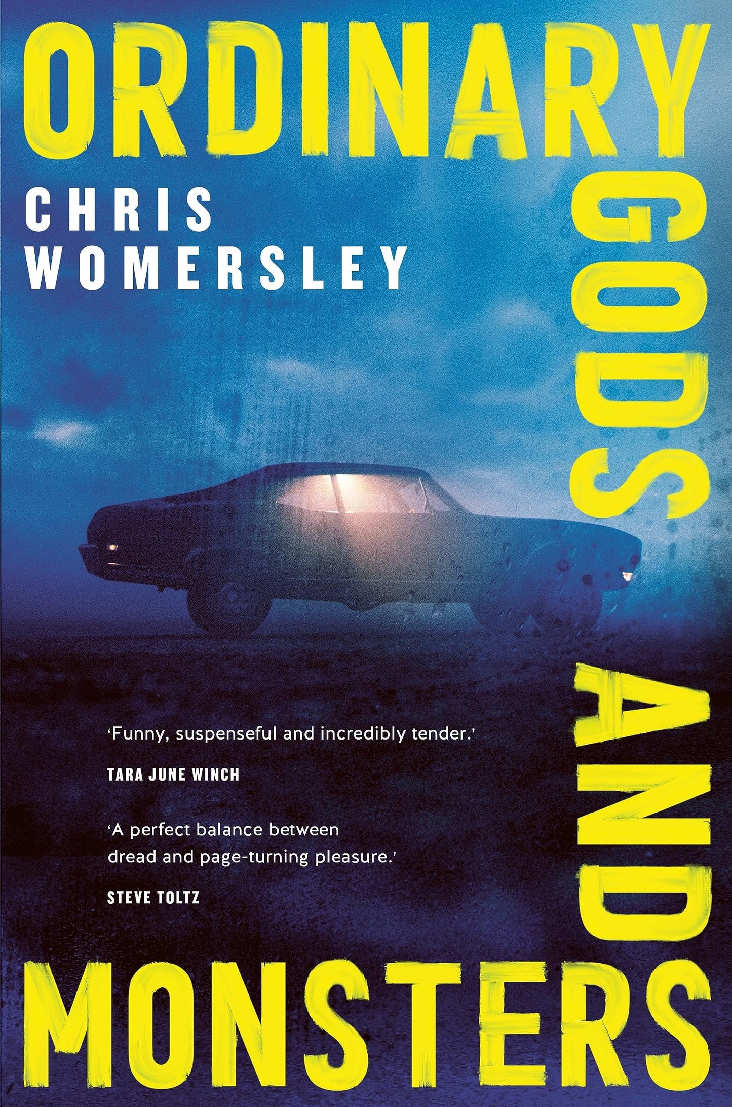 Ordinary Gods and Monsters by Chris Womersley - USED