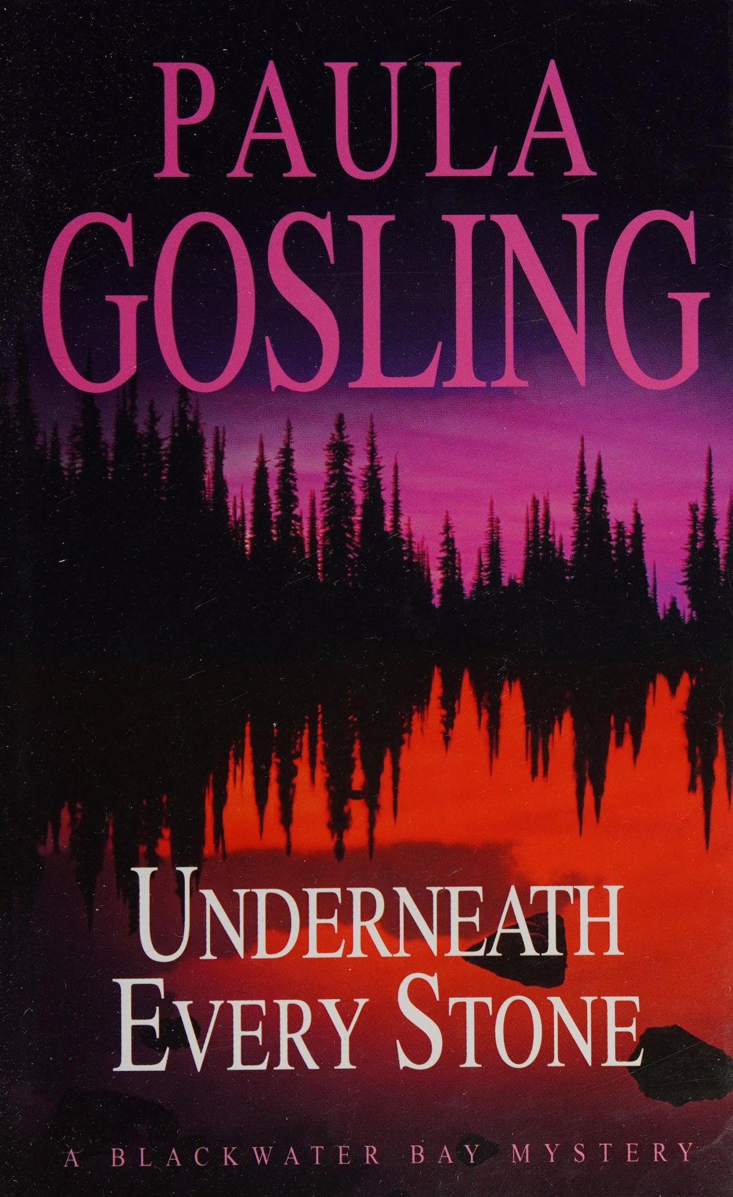 Underneath Every Stone by Paula Gosling - USED