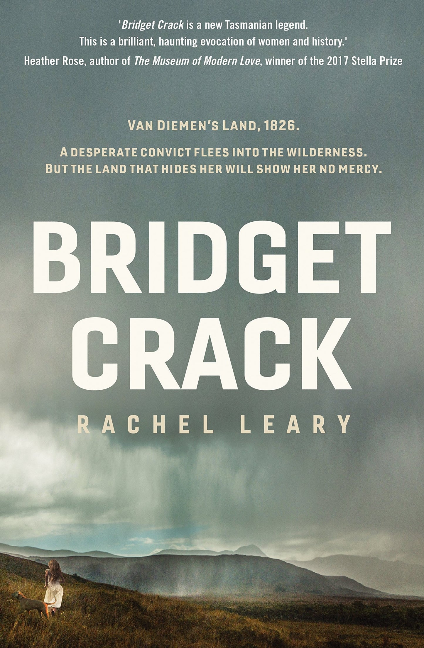 Bridget Crack by Rachel Leary - USED