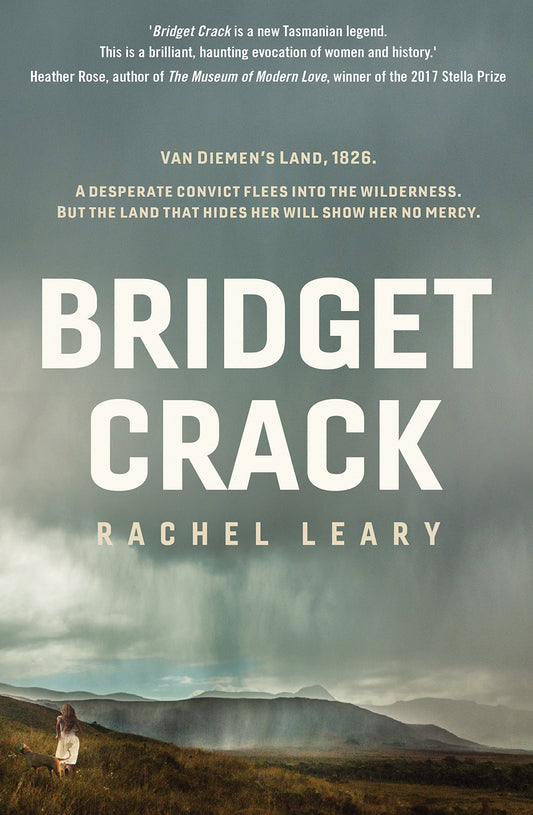 Bridget Crack by Rachel Leary - USED