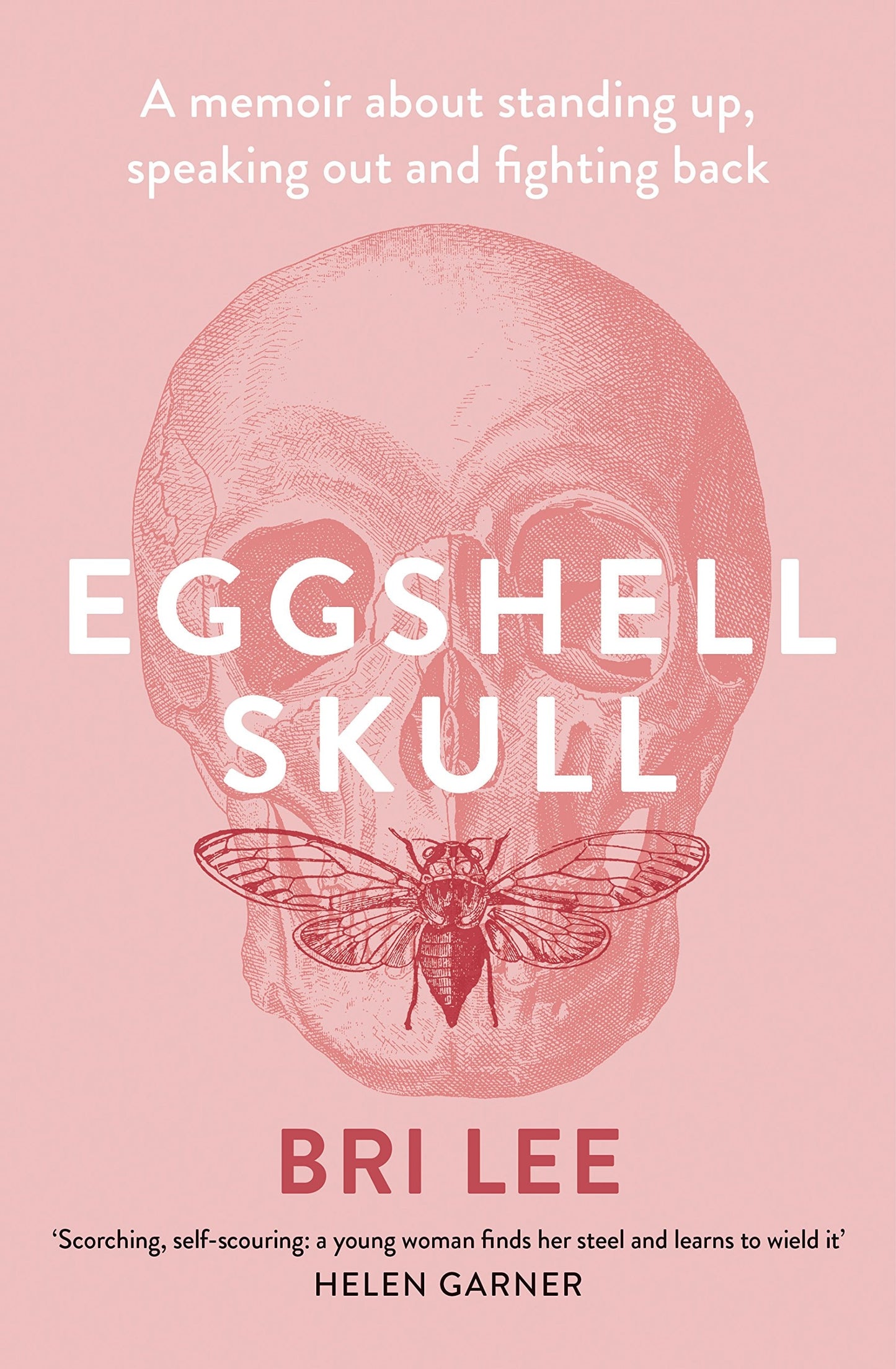 Eggshell Skull by Bri Lee - USED
