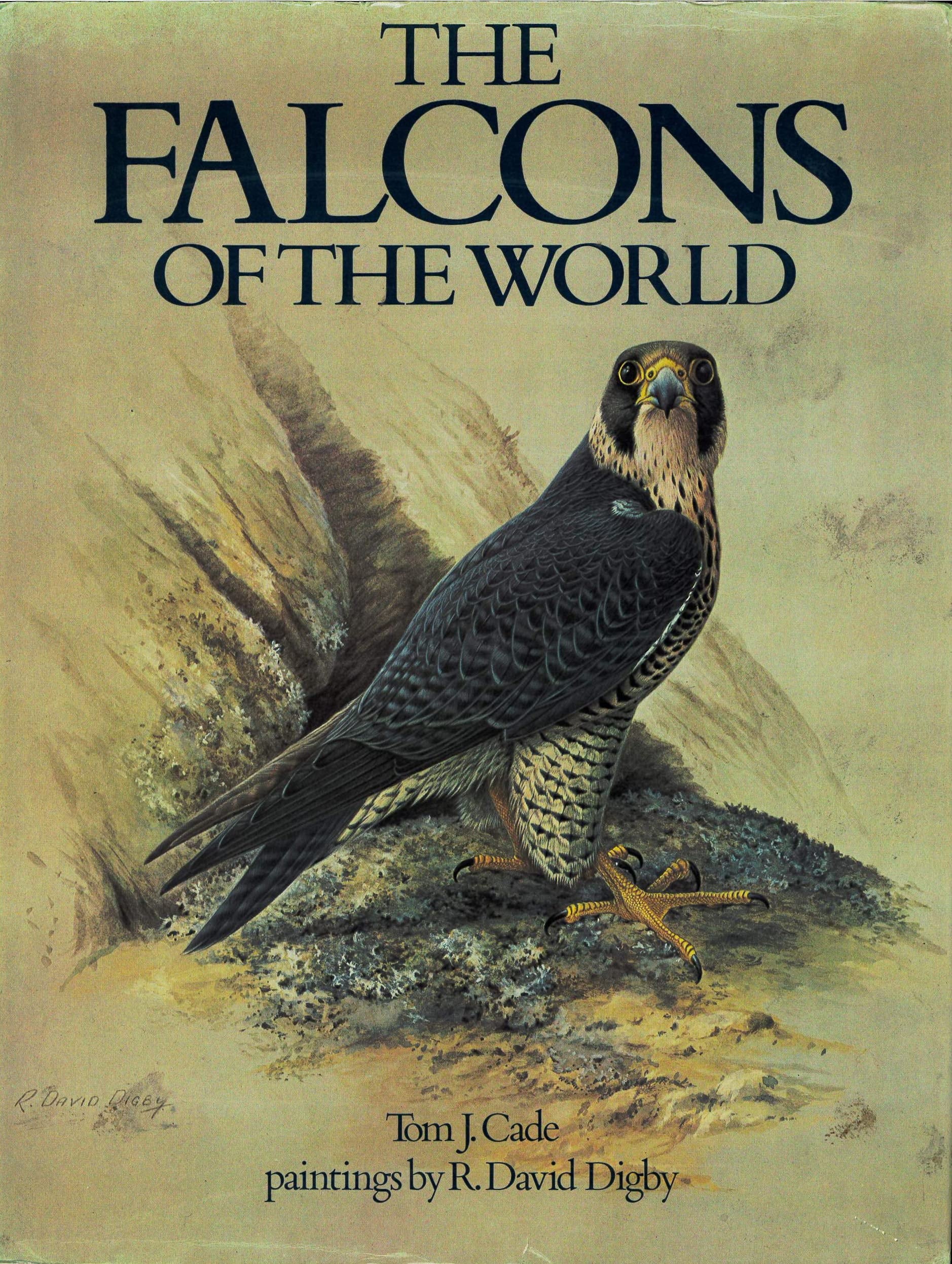 The falcons of the world by Cade, Tom J. Cornell University Press