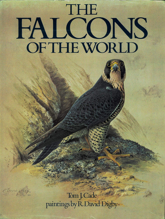 The falcons of the world by Cade, Tom J. Cornell University Press