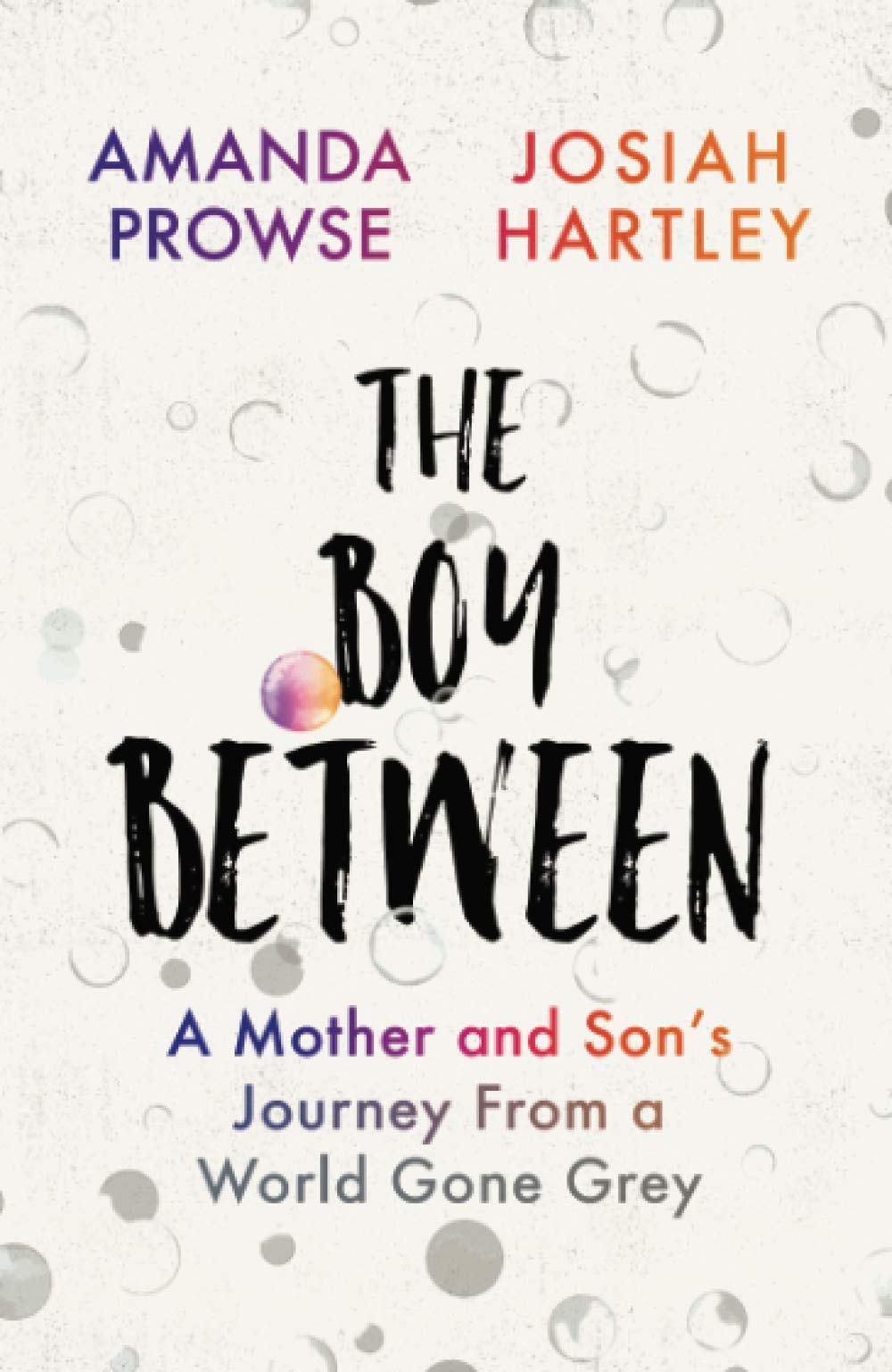 The Boy Between A Mother and Son's Journey from a World Gone Grey by Josiah Hartley,Amanda Prowse