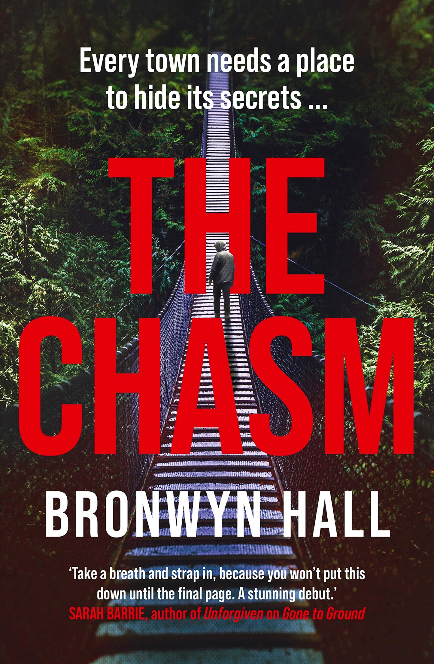 The Chasm by Bronwyn Hall
