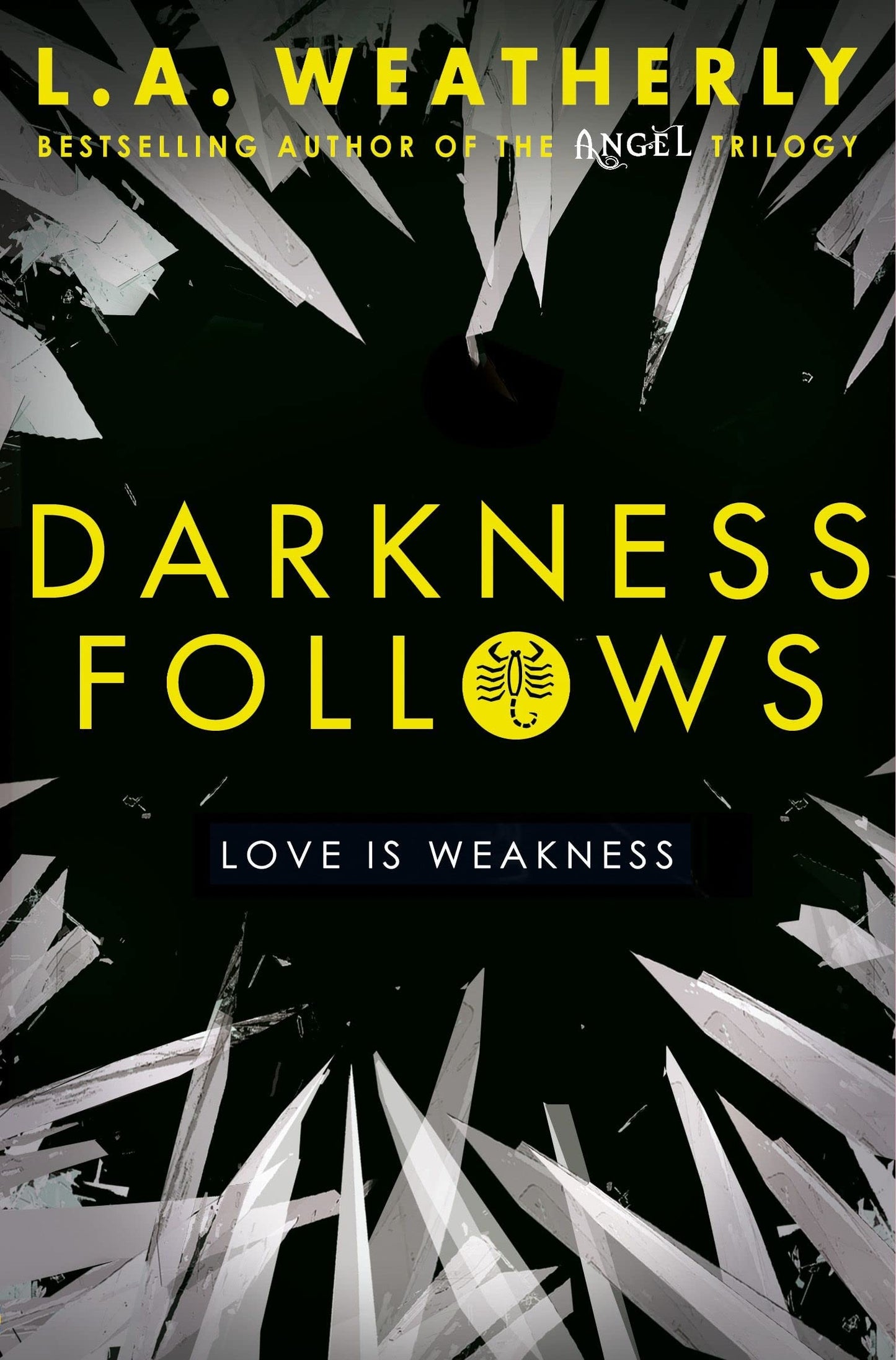 Darkness Follows (#2) - USED