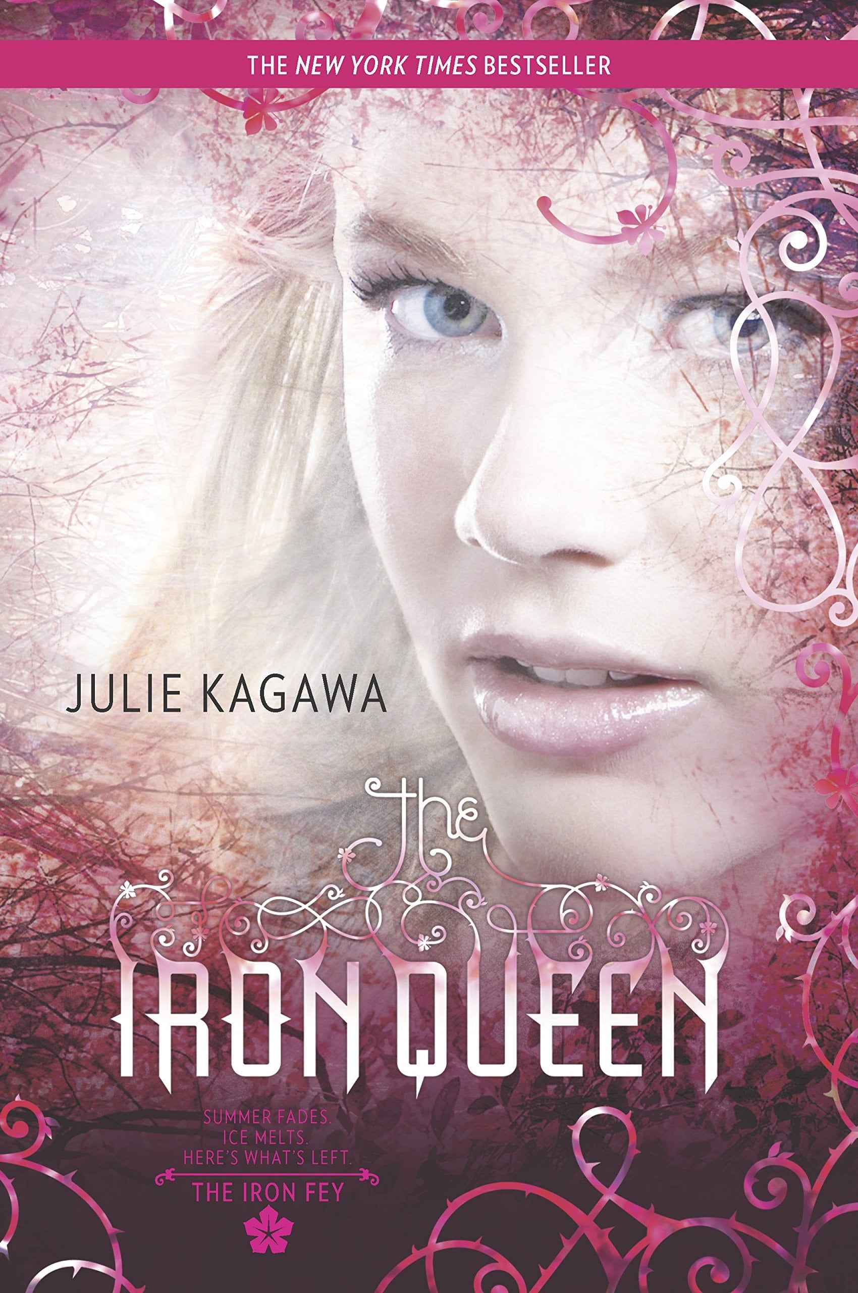 The Iron Queen (Iron Fey) by Julie Kagawa - USED Harlequin Teen