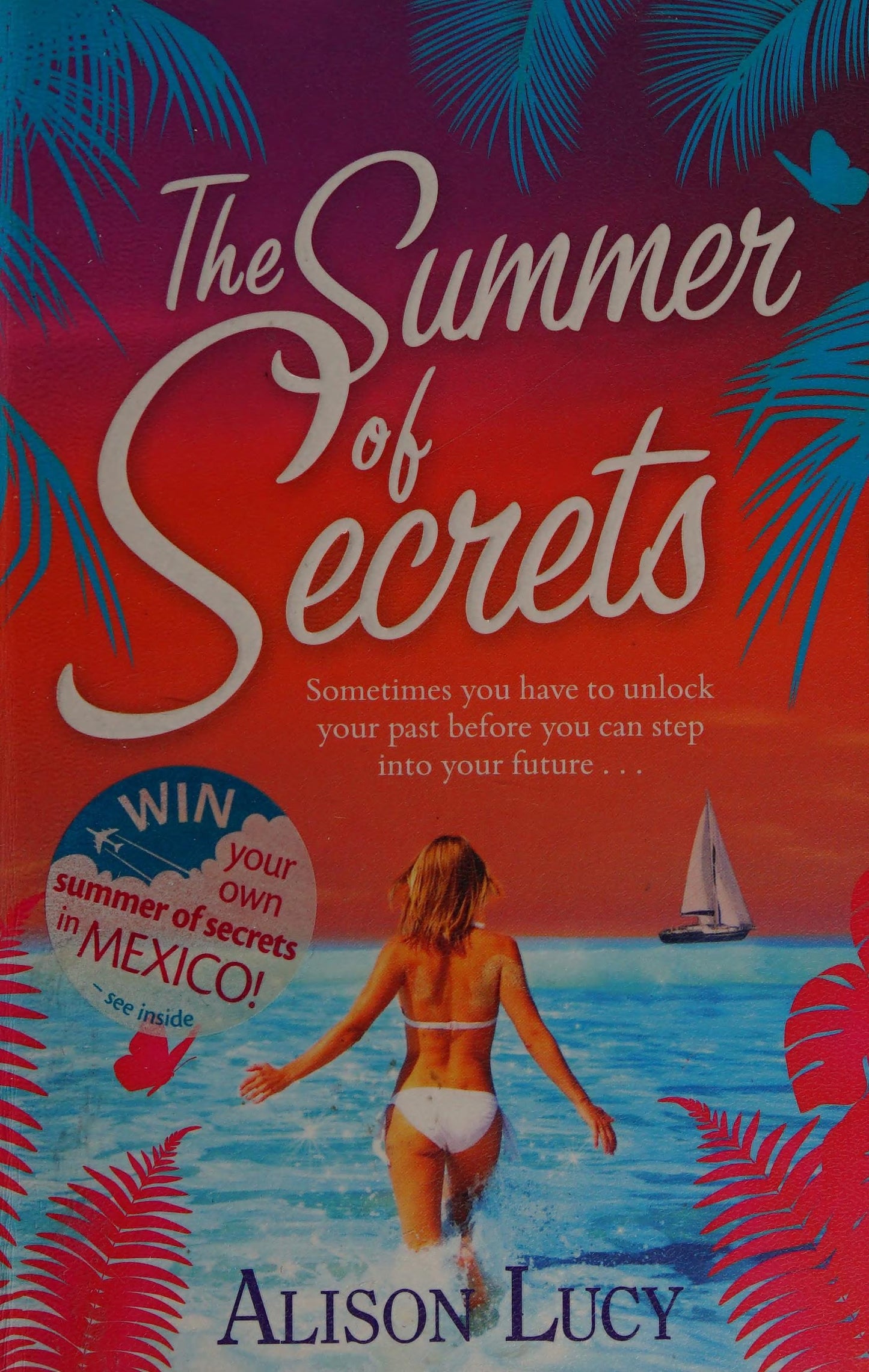 The Summer of Secrets by Alison Lucy - USED
