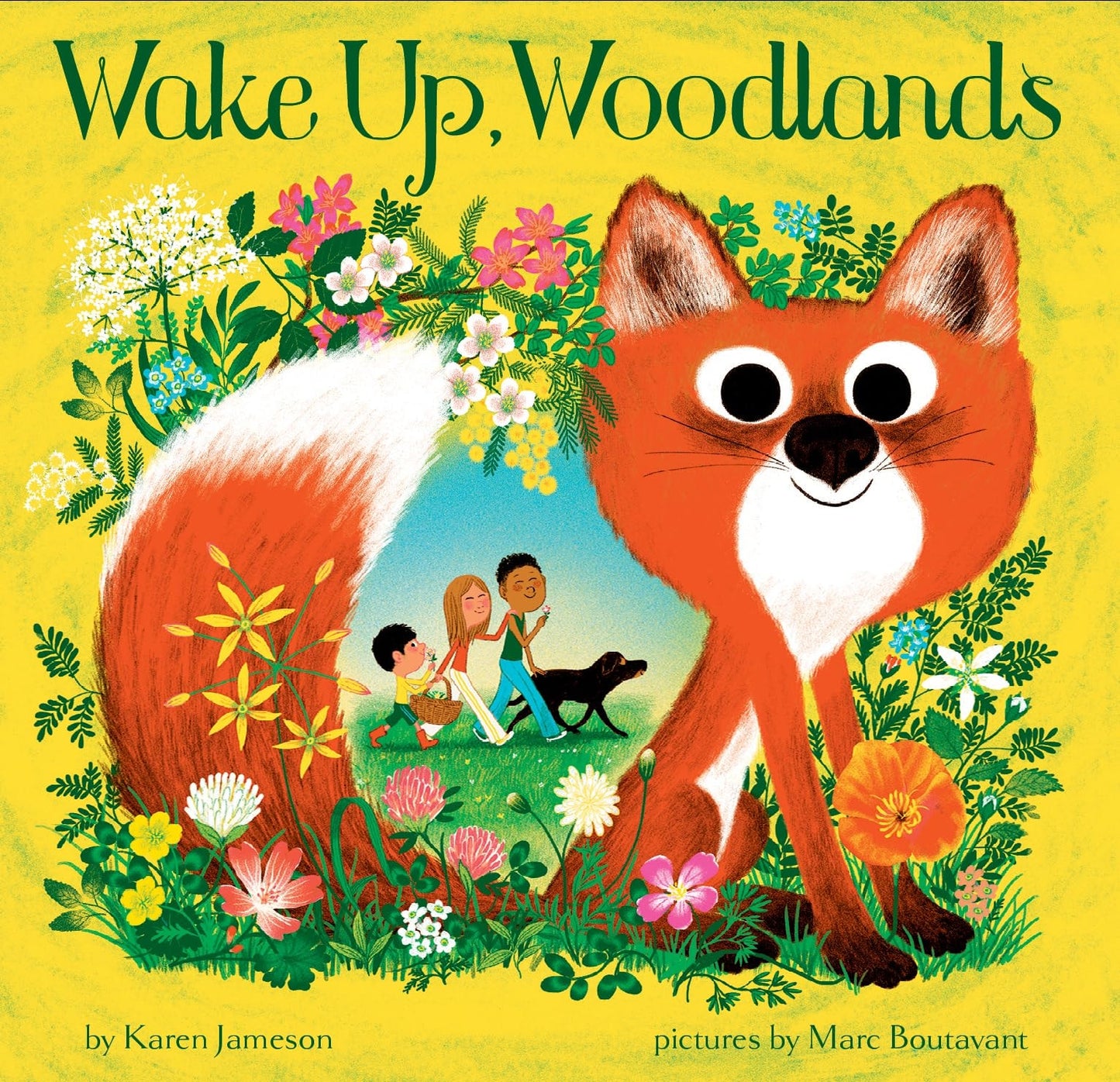 Wake Up, Woodlands by Karen Jameson Chronicle Books