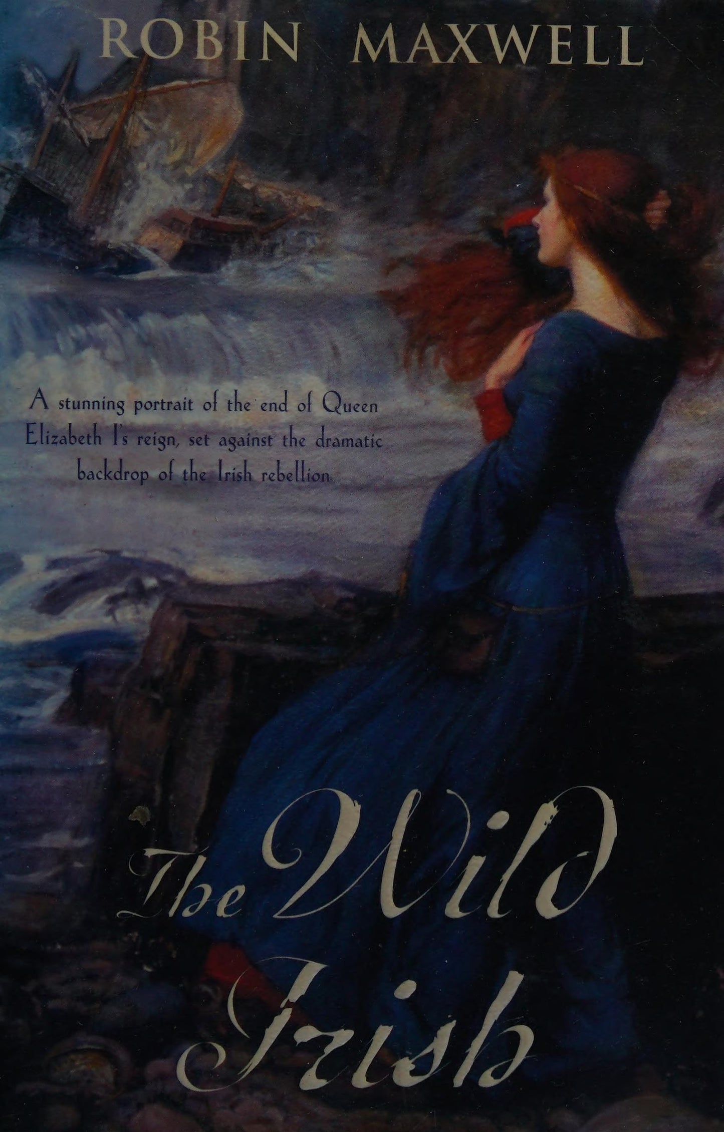 The Wild Irish by Robin Maxwell - USED
