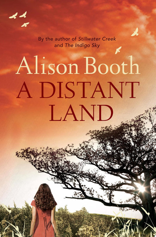 A Distant Land by Alison Booth - USED