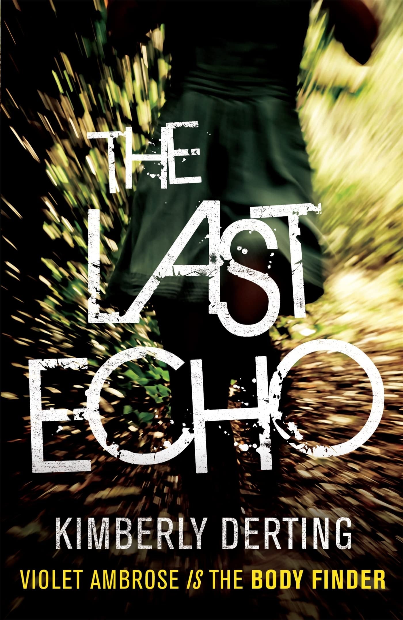 The Last Echo by Kimberly Derting - USED