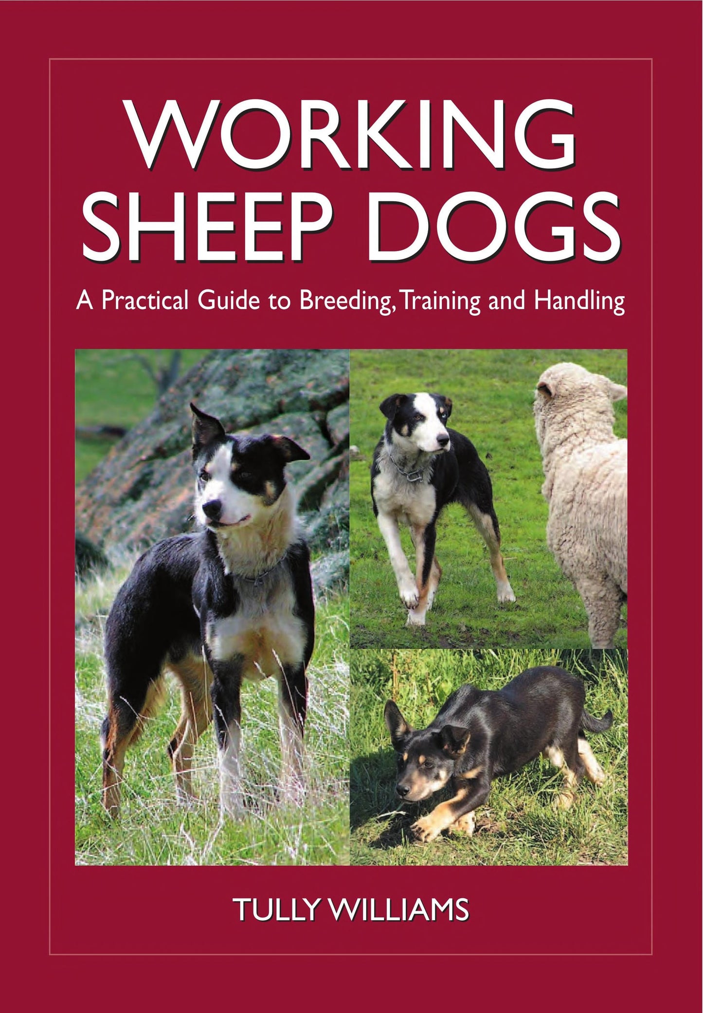 Working Sheep Dogs A Practical Guide to Breeding, Training and Handling by Tully Williams
