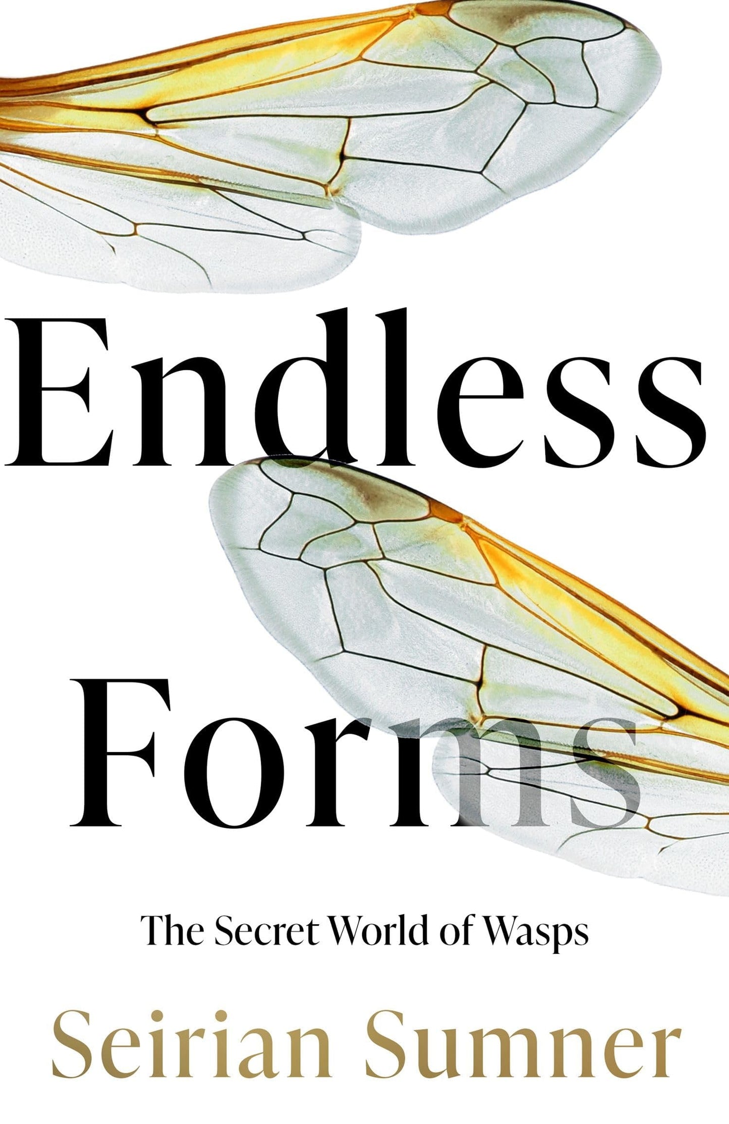 Endless Forms The Secret World of Wasps by Seirian Sumner