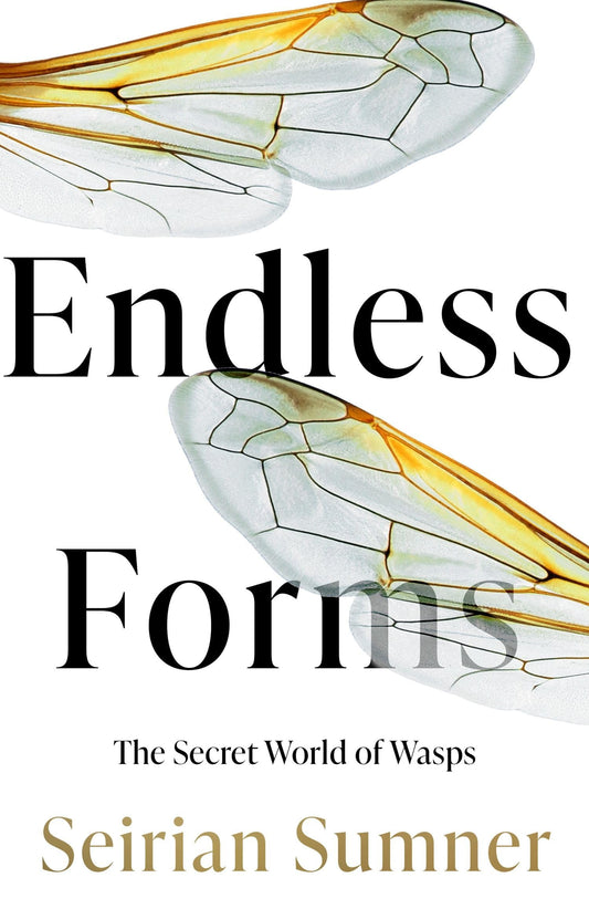 Endless Forms The Secret World of Wasps by Seirian Sumner