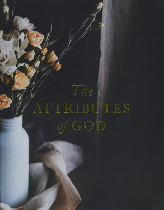 The Attributes of God Study by Kristin Schmucker - USED
