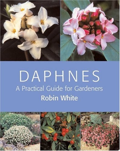 Daphnes A Practical Guide for Gardeners by Robin White