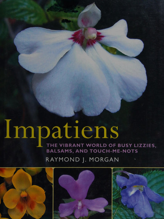 Impatiens The Vibrant World of Busy Lizzies, Balsams, and Touch-me-nots by Raymond J. Morgan