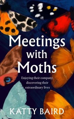 Meetings with Moths Discovering Their Mystery and Extraordinary Lives by Katty Baird