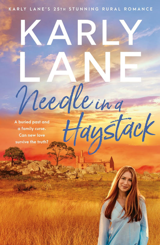 Needle in a Haystack by Karly Lane