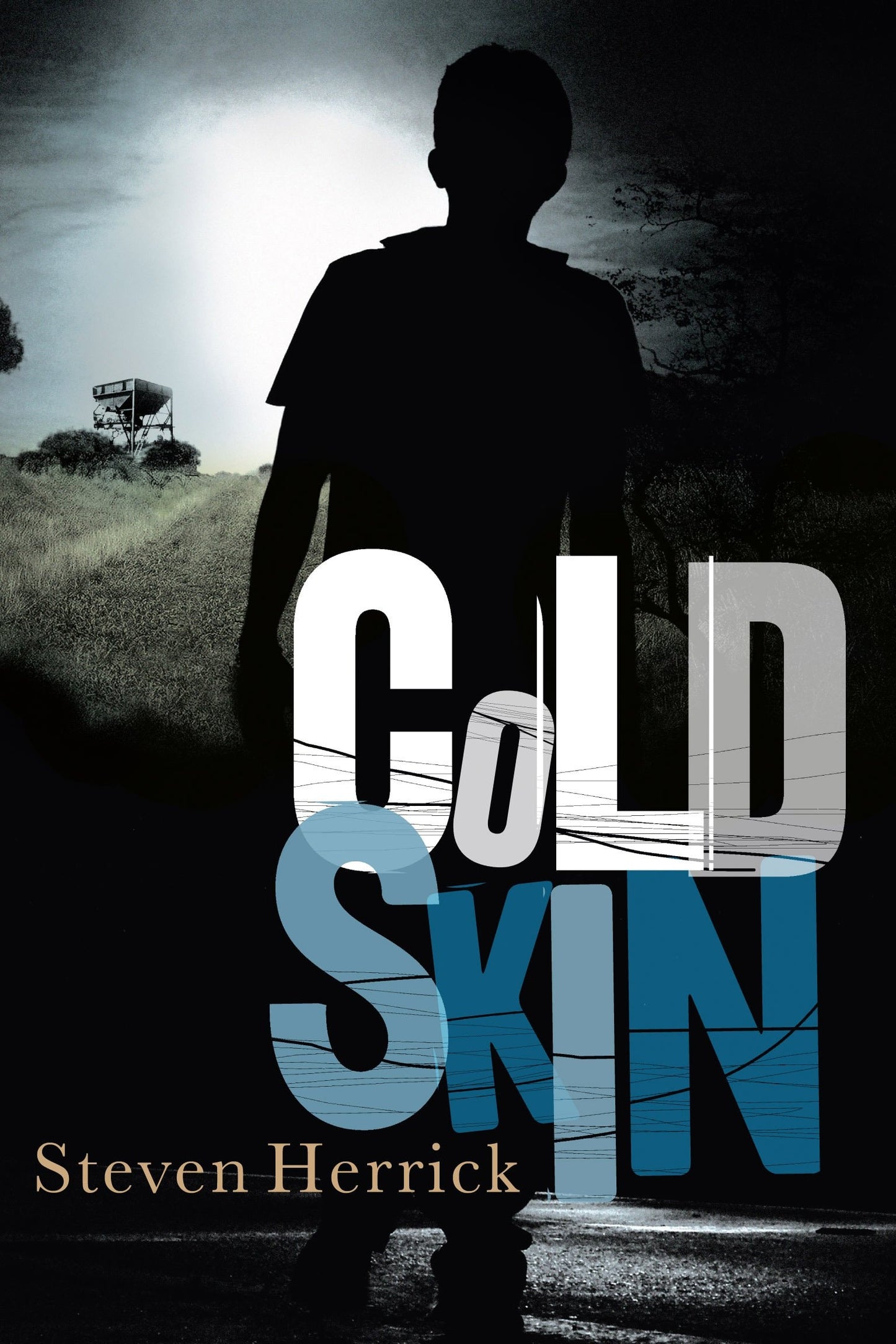 Cold Skin by Steven Herrick - USED