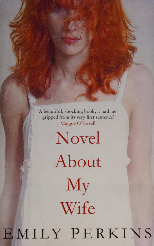 Novel about My Wife by Emily Perkins - USED