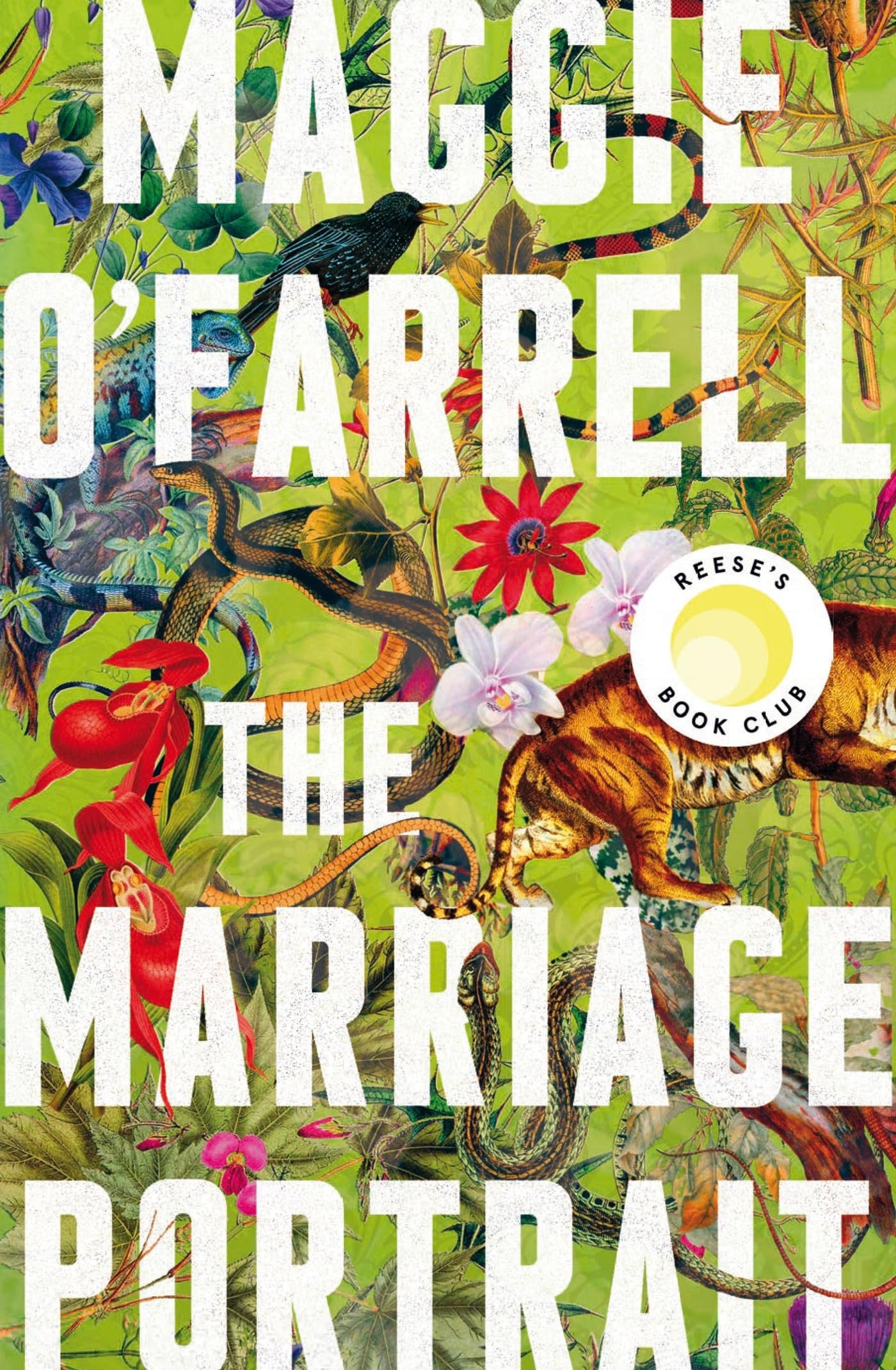 The Marriage Portrait by Maggie O'Farrell - USED