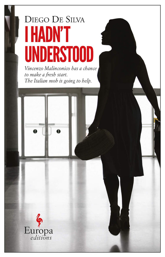 I Hadn't Understood by Diego De Silva