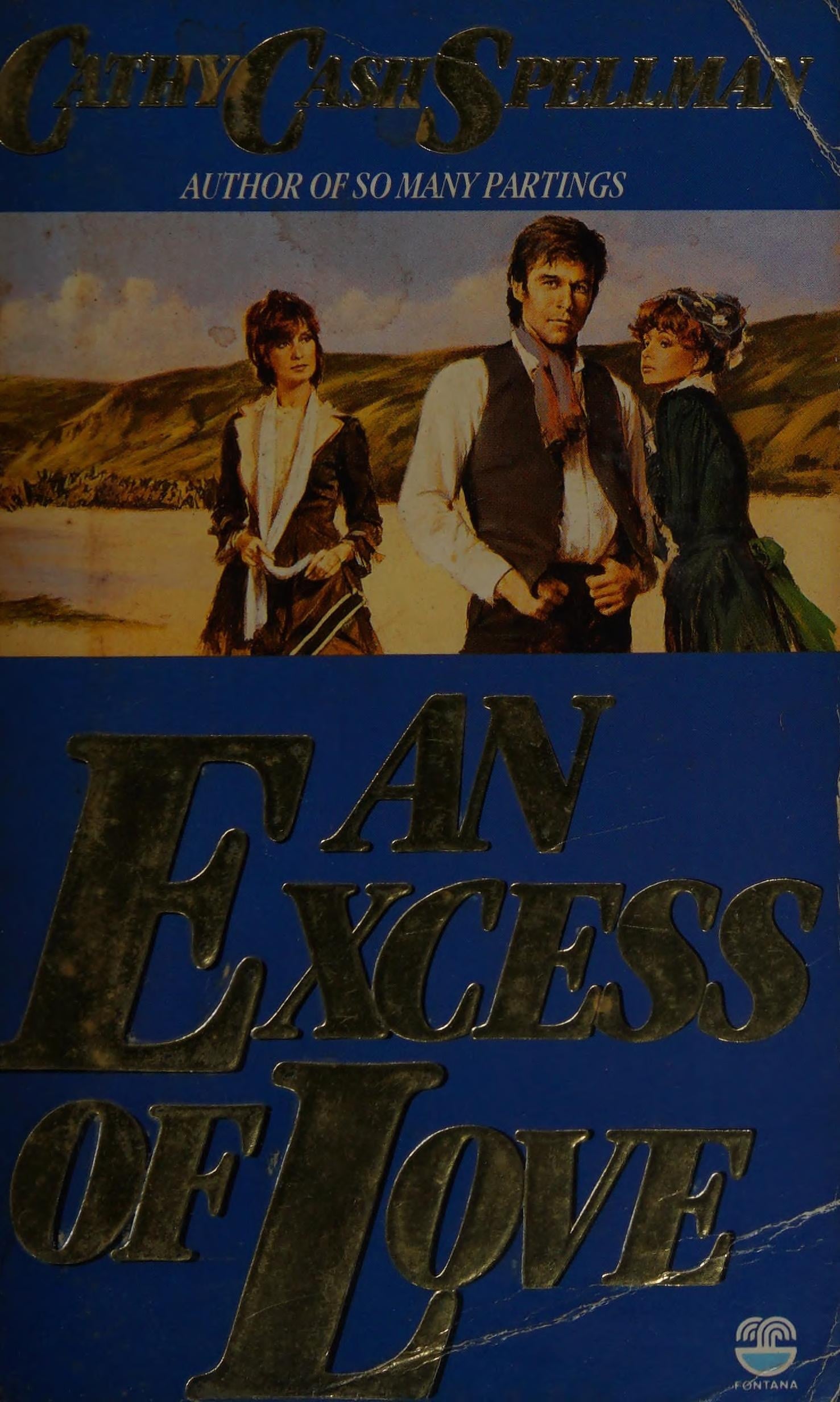 An Excess of Love by Cathy Cash Spellman Fontana