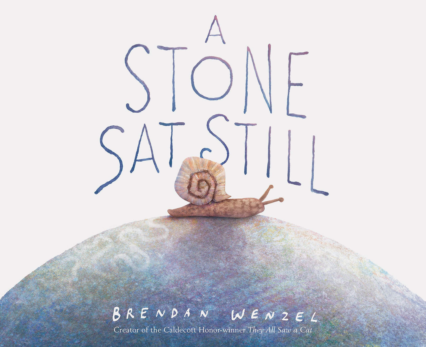 A Stone Sat Still (Environmental and Nature Picture Book for Kids, Perspective Book for Preschool and Kindergarten, Award Winning Illustrator) by Chronicle Books