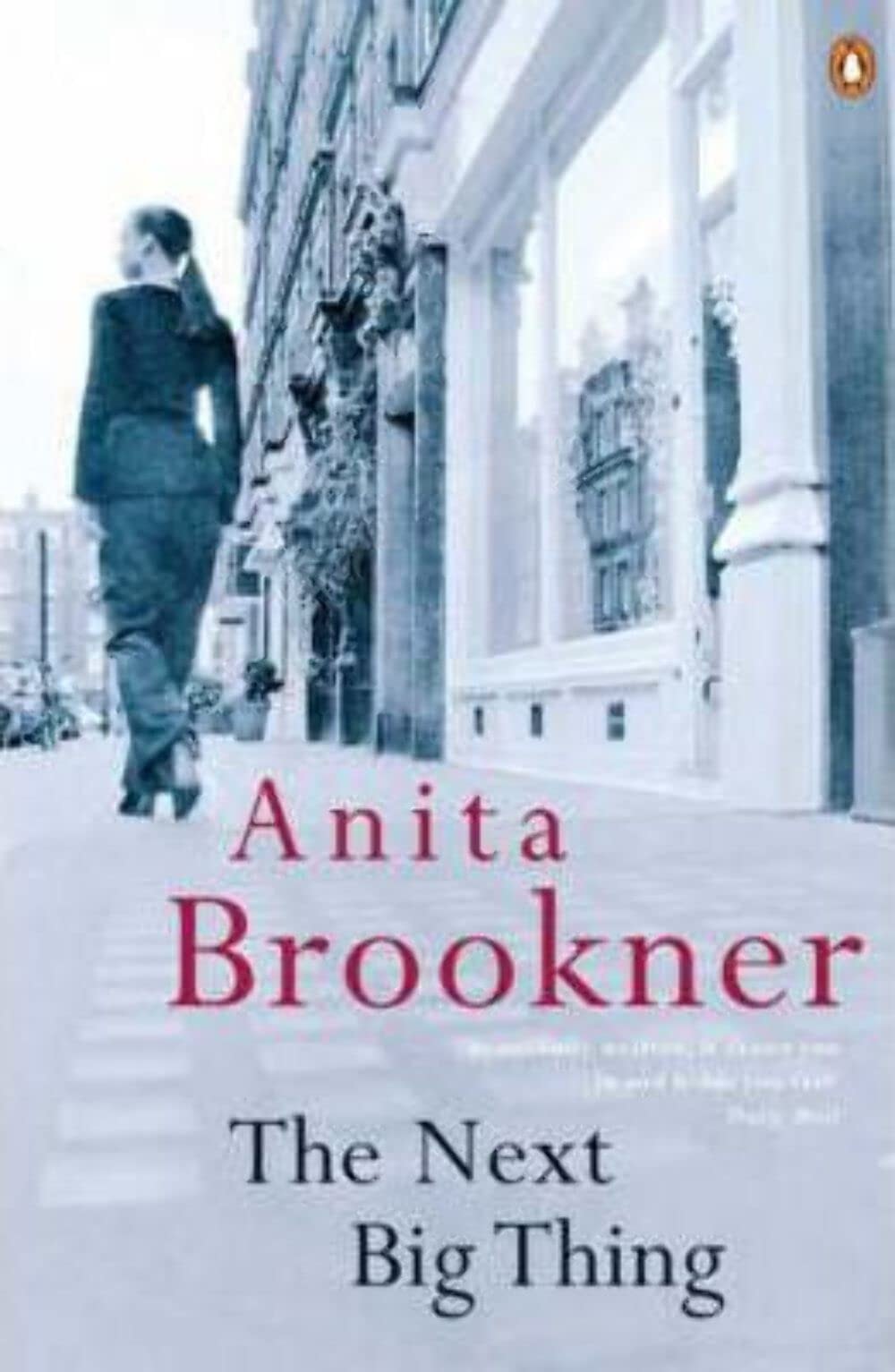 The Next Big Thing by Anita Brookner - USED