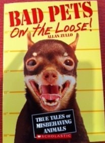 Bad Pets On the Loose! by Allan Zullo - USED