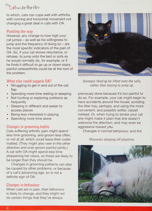 My Cat has Arthritis...but lives life to the fullest! A practical guide for owners by Gill Carrick