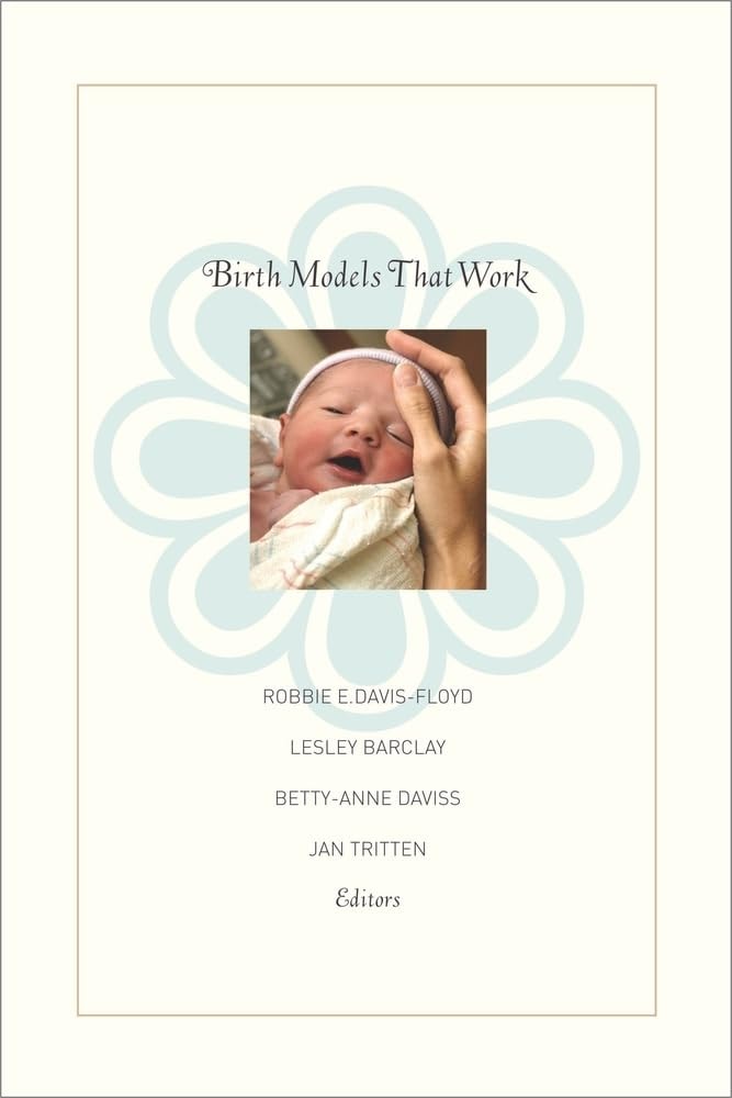 Birth Models That Work by Robbie E. Davis-Floyd,Lesley Barclay,Jan Tritten,Betty-Anne Daviss - USED
