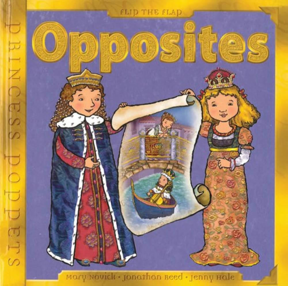 Opposites - Secondhand Copy - USED