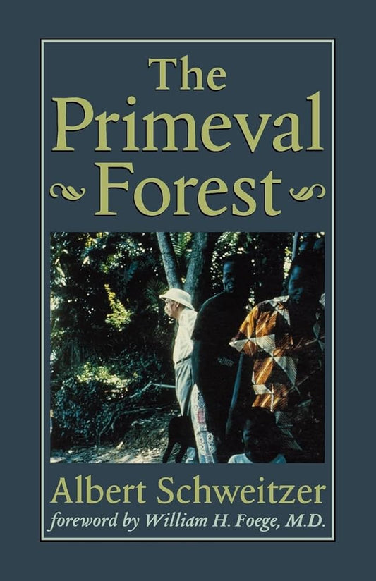 The Primeval Forest - USED