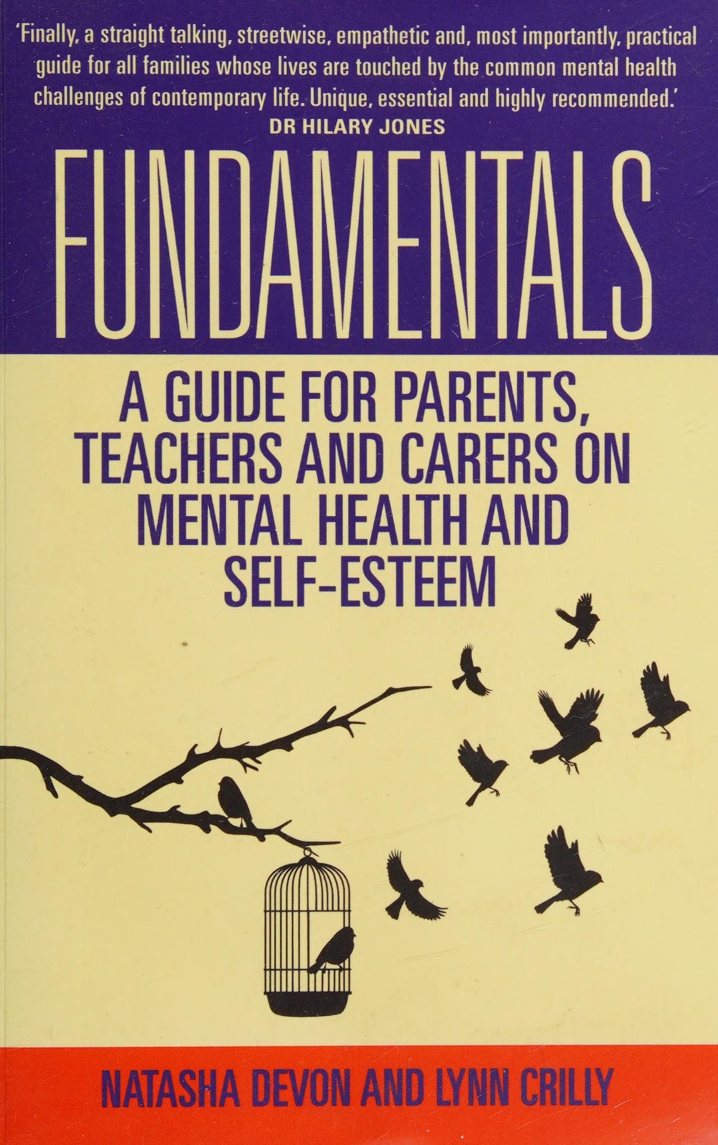 Fundamentals - A Guide for Parents, Teachers and Carers on Mental Health and Self-Esteem by Natasha Devon,Lynn Crilly